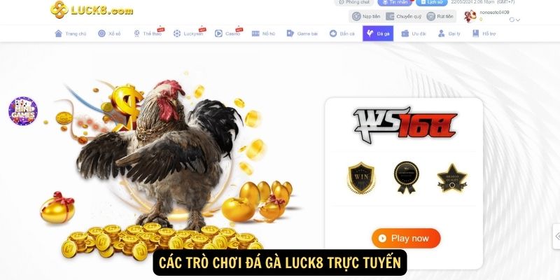 Các trò chơi Đá Gà Luck8 trực tuyến