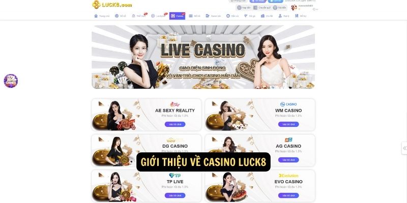 Giới thiệu về Casino Luck8