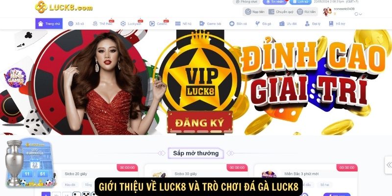 Giới thiệu về Luck8 và trò chơi Đá Gà Luck8